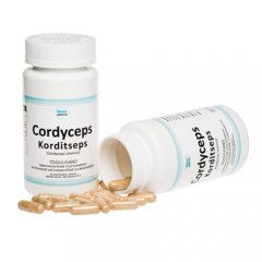 Cordyceps 500mg (Kininio kordicepso grybas) kapsulės N90