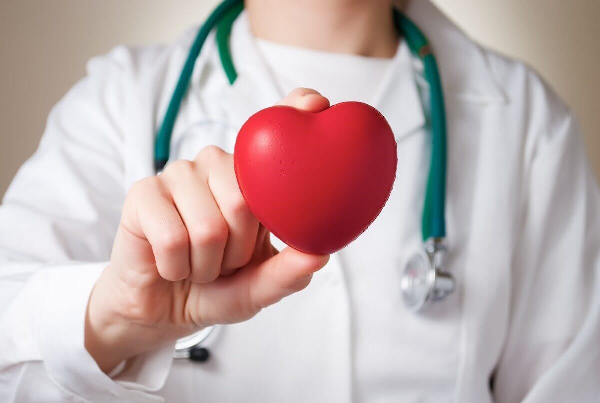 Širdis ir širdies darbas – galingas organizmo variklis