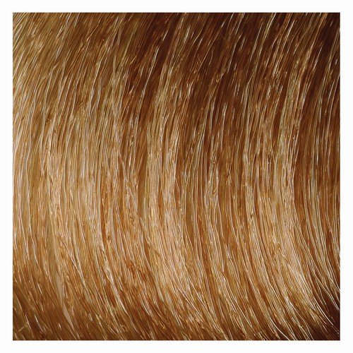 Color&Soin dažai plaukams 7GC 135ml | Mano Vaistinė
