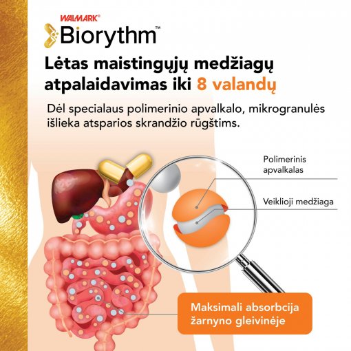 Imunitetui, odai, plaukams ir nagams Prailginto veikimo cinkas ZINC BIORYTHM, 30 kapsulių | Mano Vaistinė
