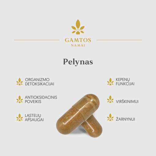 Virškinimo sistemos veiklai Pelynas GAMTOS NAMAI, 60 kaps. | Mano Vaistinė