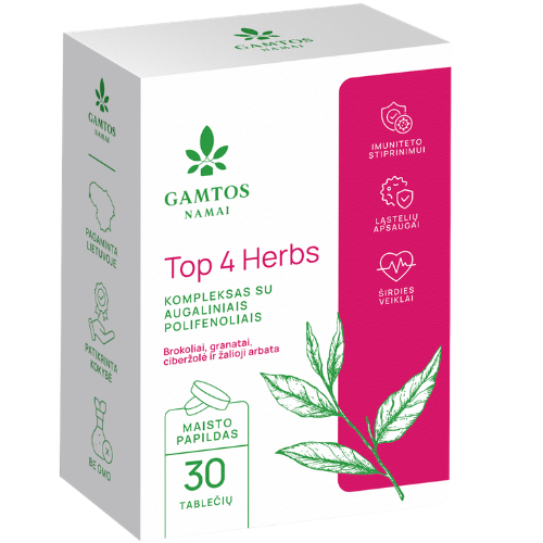 Maisto papildas Antioksidantai GAMTOS NAMAI TOP 4 HERBS, 30 tablečių | Mano Vaistinė Maisto papildas Antioksidantai GAMTOS NAMAI TOP 4 HERBS, 30 tablečių | Mano Vaistinė