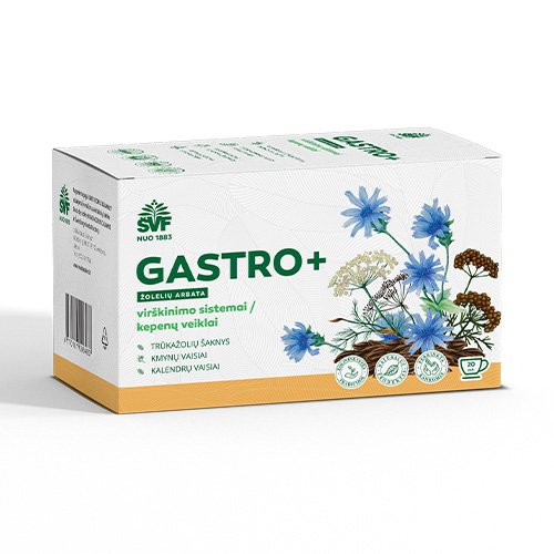 Arbata virškinimo sistemai Gastro + žolelių arbata, 1,5 g, N20 | Mano Vaistinė