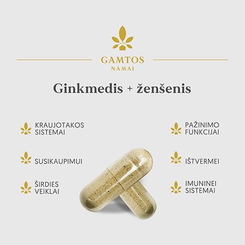 Ginkmedis+ženšenis kapsulės N60 | Mano Vaistinė