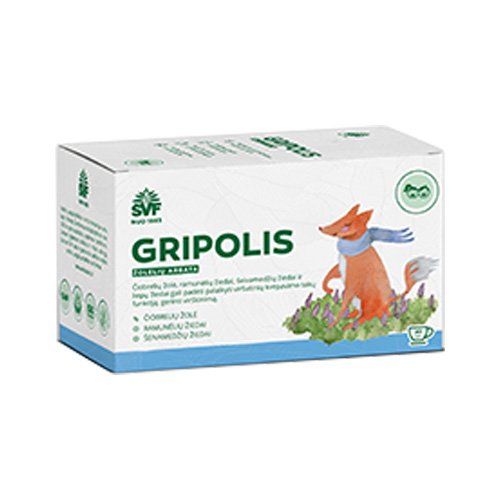 Arbatos ir vaistažolės peršalus Gripolis arbata vaikams 1.5 g, N20 | Mano Vaistinė