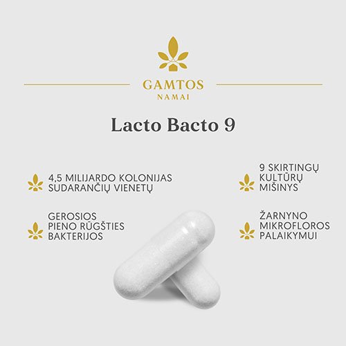 Lacto Bacto 9 kapsulės N30 | Mano Vaistinė