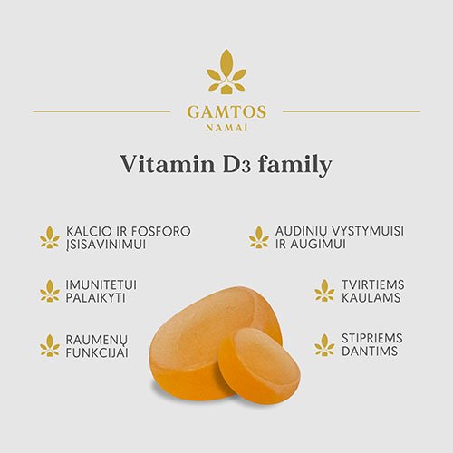 Vitaminas D3 Family guminukai N60 | Mano Vaistinė