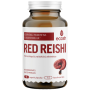 Imunitetui ir cholesteroliui ECOSH RED REISHI 90 kaps,
