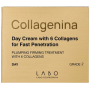 Dieninis kremas su 6 kolagenais COLLAGENINA 2 lygis, 50 ml