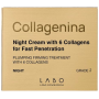 Naktinis kremas su 6 kolagenais COLLAGENINA 2 lygis, 50 ml