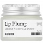 Lūpų putlintojas COSRX REFRESH AHA BHA VITAMIN C LIP PLUMPER, 20 g