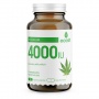 ECOSH vitaminas D3 4000IU, su kanapių sėklų miltais, 90 kapsulių