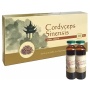 Kininis Kordicepsas (Cordyceps Sinensis), 10 ml, N10