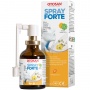 Gerklės purškalas, apelsinų skonio OTOSAN SPRAY FORTE, 30 ml