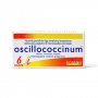 Oscillococcinum piliulės, vienadozė talpyklė, nuo peršalimo, N6 