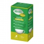 Verdin gastro arbata Green Tea N20