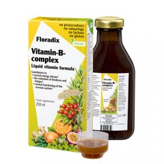 Floradix Vitamin-B complex  250ml