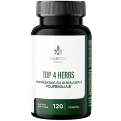 Antioksidantai TOP 4 HERBS,120 tablečių