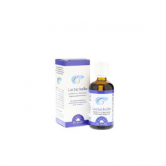 Lactacholin skystis smegenų veiklai, 100 ml 