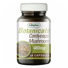 Lifeplan Cordyceps N60