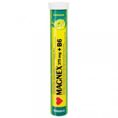Magnex 375mg+B6 tirpios tab. N20 x12 
