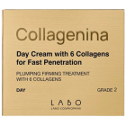 Dieninis kremas su 6 kolagenais COLLAGENINA 2 lygis, 50 ml