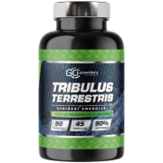 Vyriškos energijos palaikymui Gulščioji ragužė GO POWDERS TRIBULUS TERRESTIS 500 mg. 90 tabl. | Mano Vaistinė