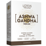 Ašvaganda LOTOS PREMIUM ASHWAGANDHA KSM-66, 30 kaps. | Mano Vaistinė