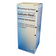 Homeopatinis preparatas nuo skausmo Galium-Heel N geriamieji lašai, 30 ml | Mano Vaistinė Homeopatinis preparatas nuo skausmo Galium-Heel N geriamieji lašai, 30 ml | Mano Vaistinė