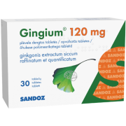 Ginkmedžio preparatai Kraujotakos sistemai GINGIUM 120 mg, 30 tabl. | Mano Vaistinė