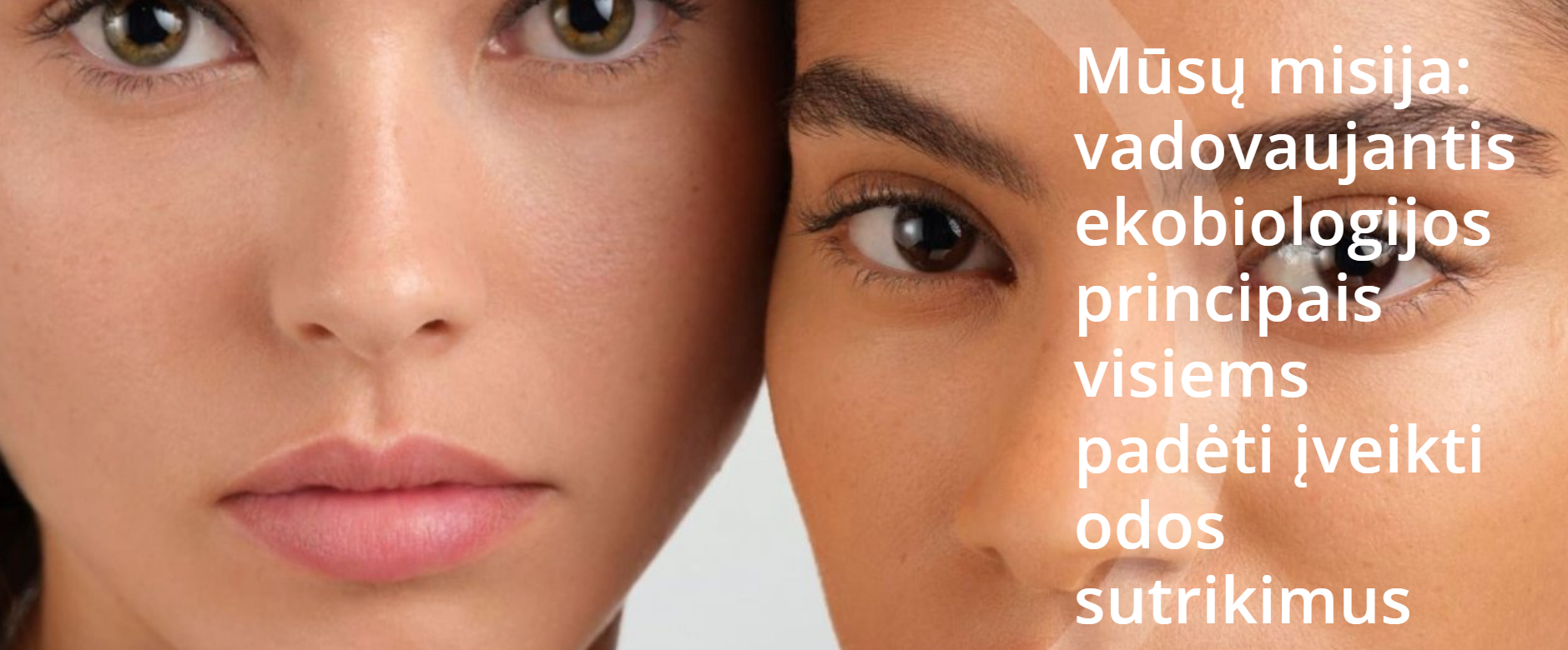 screenshot 2025 11 10 114404 cover 2