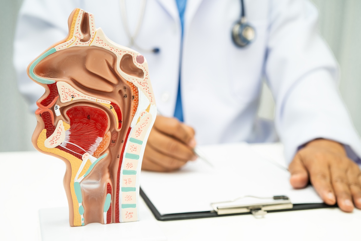 Liežuvis reikalingas ne tik malti nuo ryto iki vakaro, bet ir valgymo malonumui