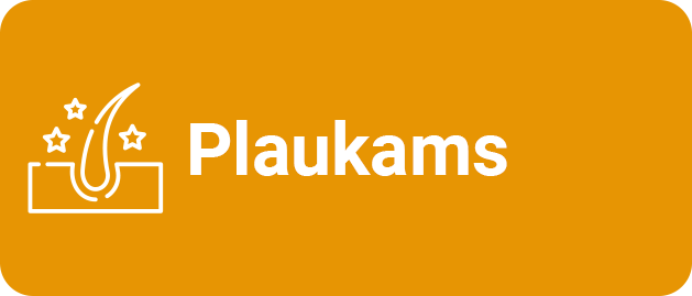 Plaukams