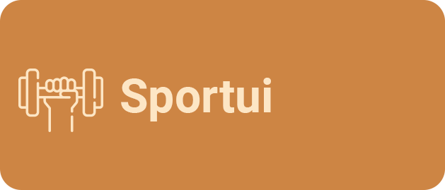 Sportui