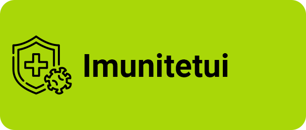 Maisto papildai IMUNITETUI
